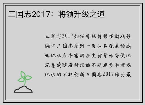 三国志2017：将领升级之道