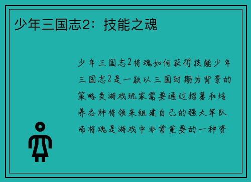 少年三国志2：技能之魂